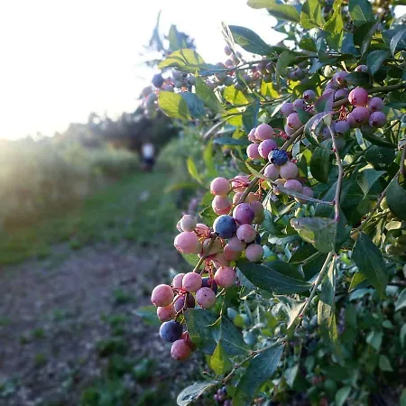 Lodge Quinta Da Regadas *