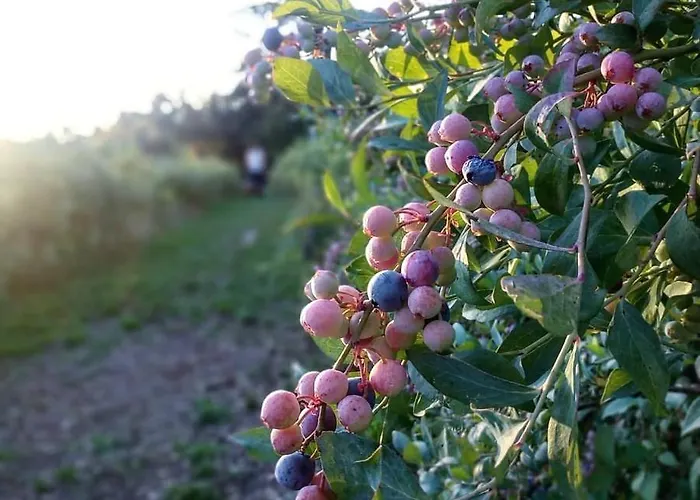 Lodge Quinta Da Regadas *